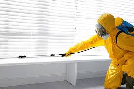 Best Fumigation Services  in New York Mills, MN